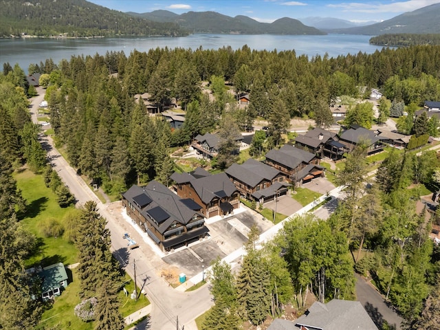 508 Dakota Ave, Whitefish, MT 59937 - drone / aerial view of a water and mountain view and a forest