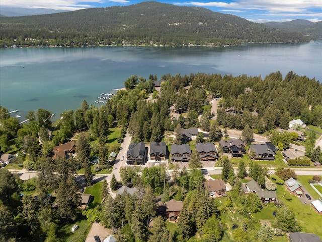 508 Dakota Ave, Whitefish, MT 59937 - aerial view of residential area with a heavily wooded area and a water and mountain view