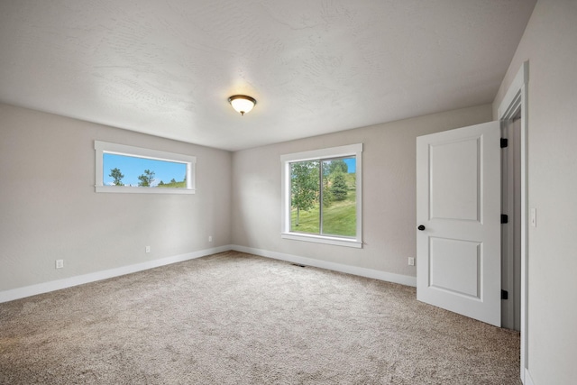 150 Swede Trl, Kalispell, MT 59901 - carpeted spare room with baseboards