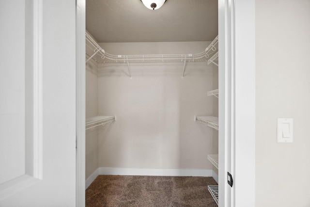 150 Swede Trl, Kalispell, MT 59901 - spacious closet featuring dark colored carpet