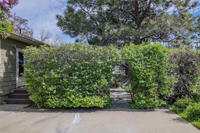 2200 5th Ave, Helena, MT 59601 - view of patio / terrace