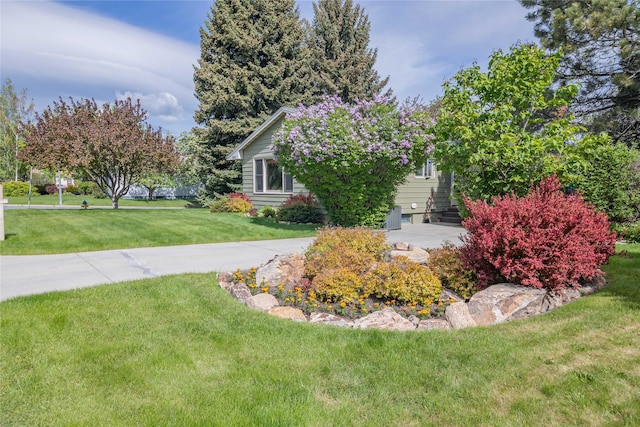 2200 5th Ave, Helena, MT 59601 - view of green lawn
