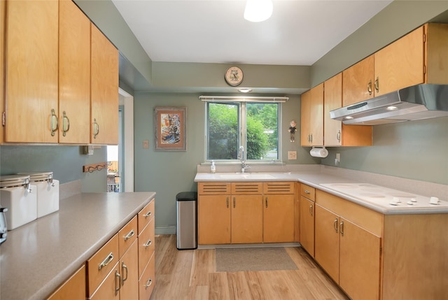 2200 5th Ave, Helena, MT 59601 - kitchen with under cabinet range hood, white electric cooktop, light wood-type flooring, and light countertops