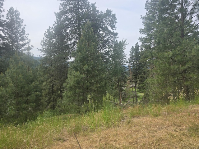 40 Larch Ln, Saint Regis, MT 59866 - view of wooded area
