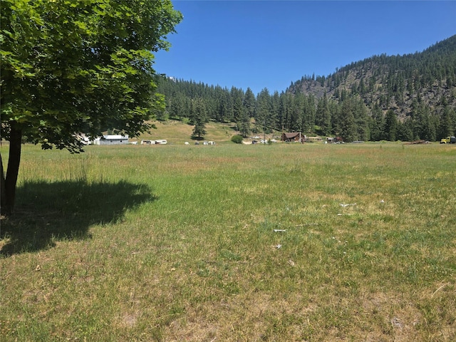 40 Larch Ln, Saint Regis, MT 59866 - view of yard with a forest view, a mountain view, and a view of rural / pastoral area