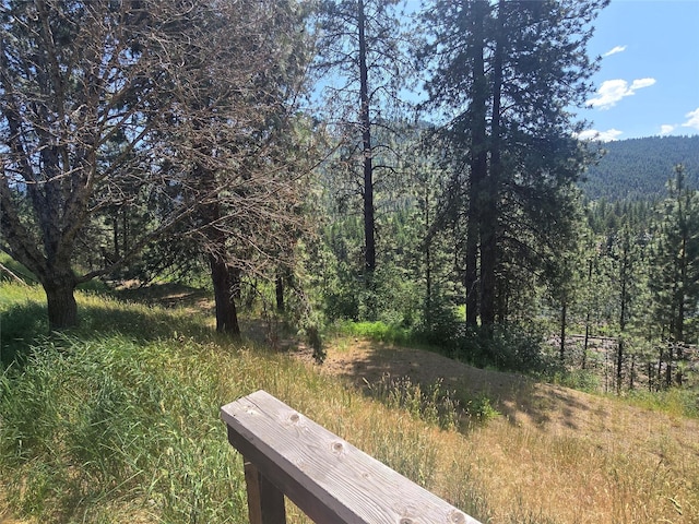 40 Larch Ln, Saint Regis, MT 59866 - view of yard featuring a wooded view