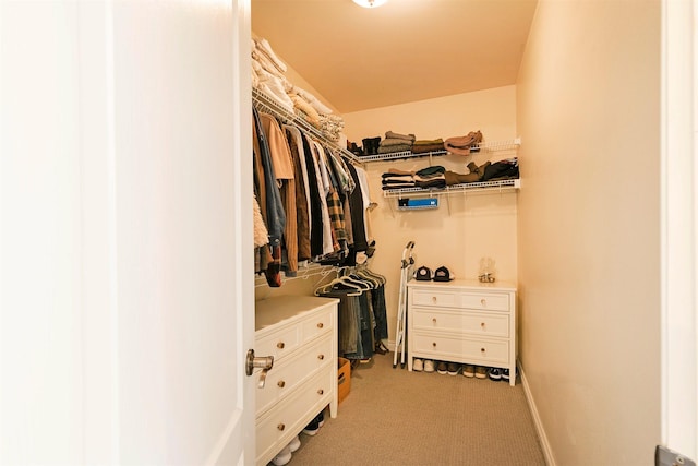 15660 Sara Jo Ln, Frenchtown, MT 59834 - walk in closet with light colored carpet