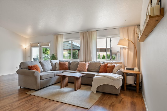 251 Grandview Way, Missoula, MT 59803 - living room featuring wood finished floors