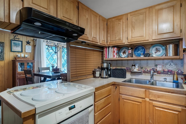429 Pleasant Valley Rd, Marion, MT 59925 - kitchen featuring range, range hood, open shelves, and light countertops