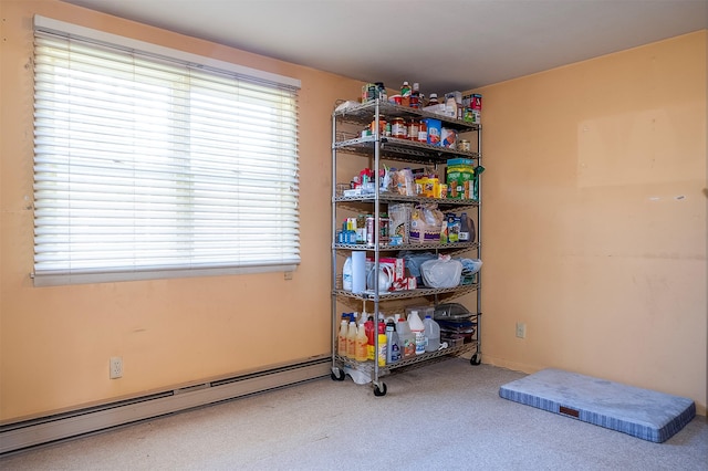 429 Pleasant Valley Rd, Marion, MT 59925 - storage room featuring baseboard heating