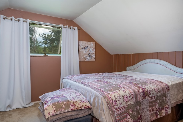 429 Pleasant Valley Rd, Marion, MT 59925 - bedroom with carpet flooring and vaulted ceiling