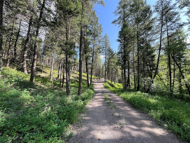 2722 Browns Meadow Rd 2734, Kila, MT 59920