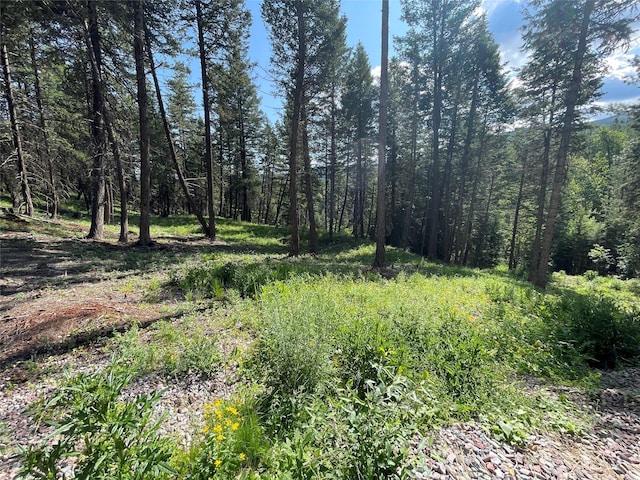 2722 Browns Meadow Rd 2734, Kila, MT 59920