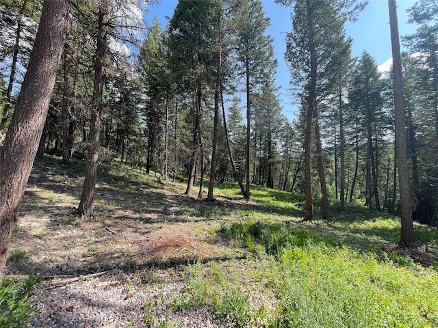 2722 Browns Meadow Rd 2734, Kila, MT 59920
