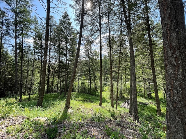 2722 Browns Meadow Rd 2734, Kila, MT 59920