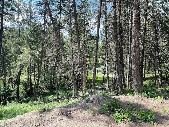 2722 Browns Meadow Rd 2734, Kila, MT 59920