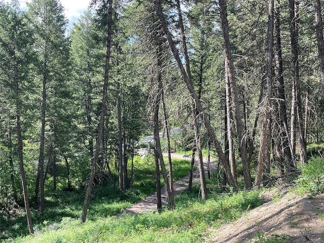 2722 Browns Meadow Rd 2734, Kila, MT 59920