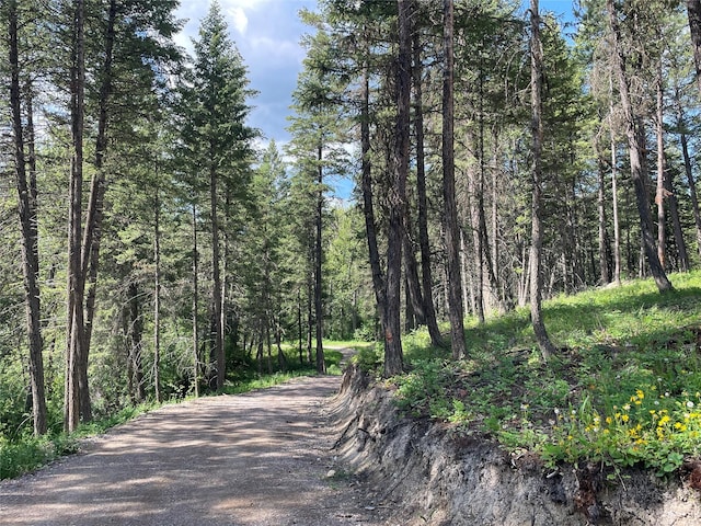 2722 Browns Meadow Rd 2734, Kila, MT 59920
