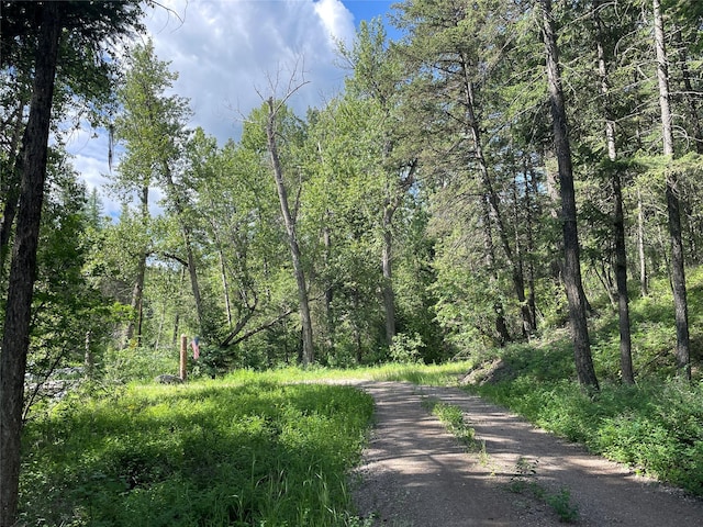 2722 Browns Meadow Rd 2734, Kila, MT 59920