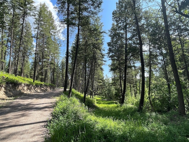 2722 Browns Meadow Rd 2734, Kila, MT 59920