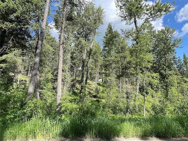 2722 Browns Meadow Rd 2734, Kila, MT 59920