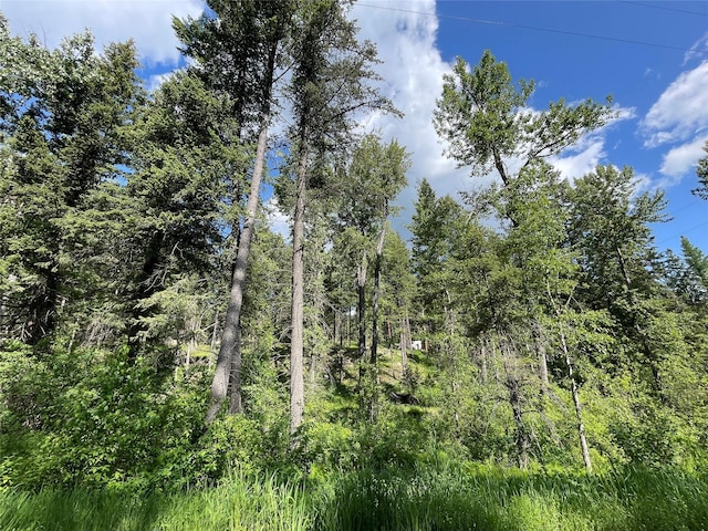 2722 Browns Meadow Rd 2734, Kila, MT 59920
