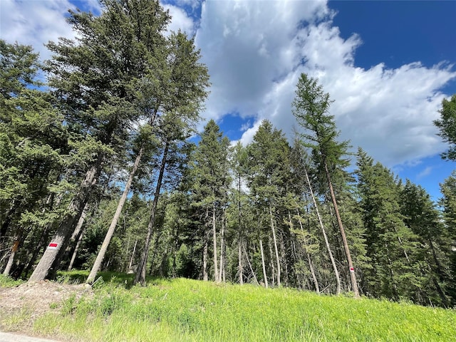2722 Browns Meadow Rd 2734, Kila, MT 59920