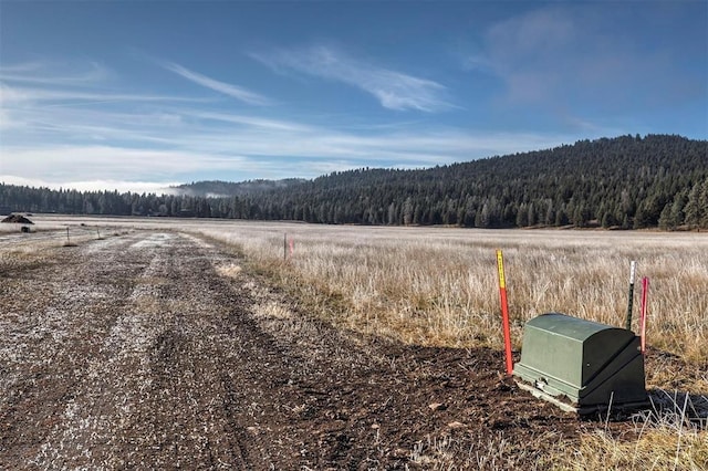 LOT10 13442 Vannoy Ln, Greenough, MT 59823