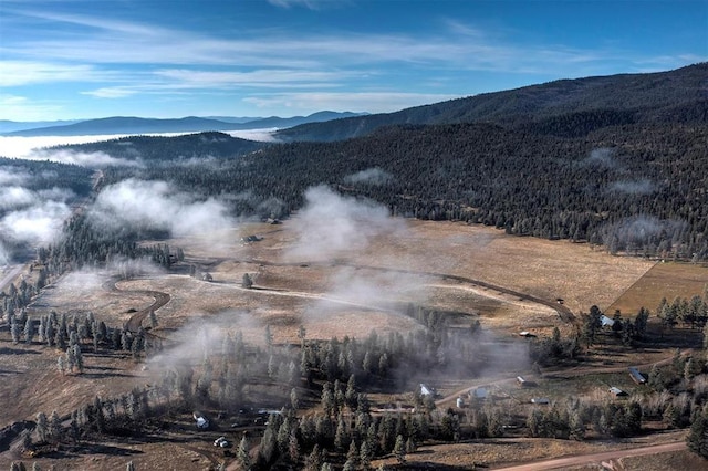 LOT10 13442 Vannoy Ln, Greenough, MT 59823