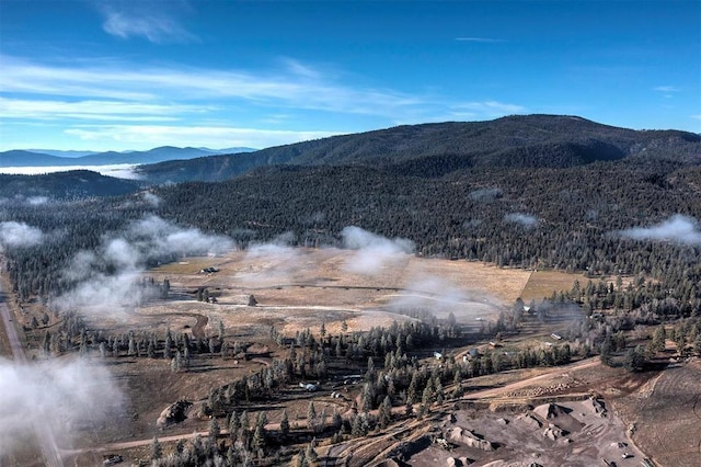 LOT10 13442 Vannoy Ln, Greenough, MT 59823