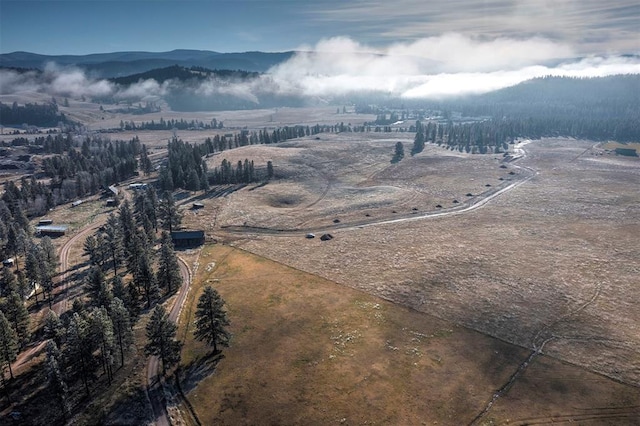 LOT10 13442 Vannoy Ln, Greenough, MT 59823