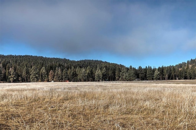 LOT10 13442 Vannoy Ln, Greenough, MT 59823