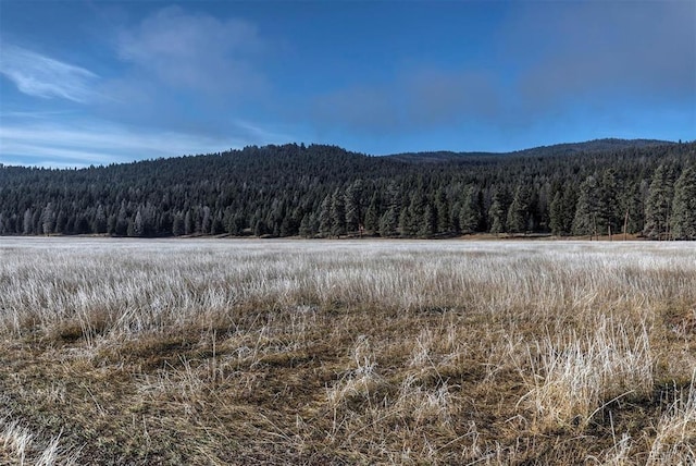 LOT10 13442 Vannoy Ln, Greenough, MT 59823