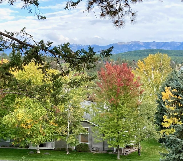7 Eagle Bend Dr, Bigfork, MT 59911 - view of grassy yard featuring a mountain view