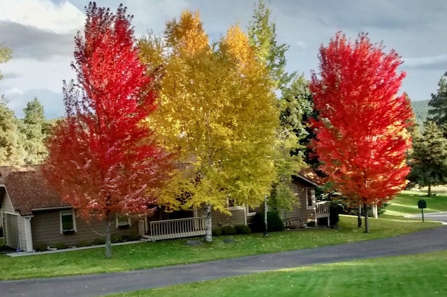 7 Eagle Bend Dr, Bigfork, MT 59911 - view of property's community with a yard