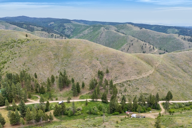 NHN Dugout Gulch Rd, Darby, MT 59829