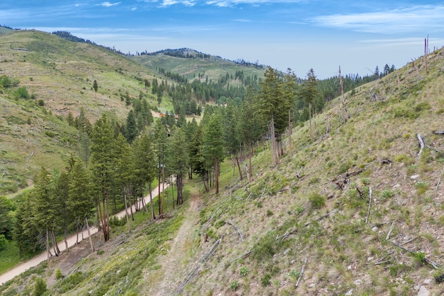 NHN Dugout Gulch Rd, Darby, MT 59829