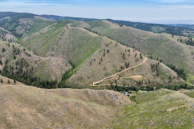 NHN Dugout Gulch Rd, Darby, MT 59829
