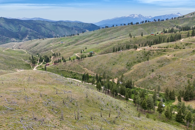 NHN Dugout Gulch Rd, Darby, MT 59829