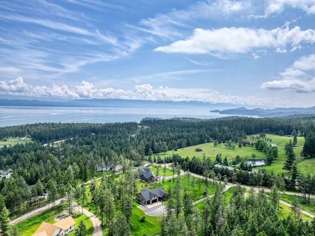 331 Deer Creek Rd, Somers, MT 59932 - drone / aerial view of a water and mountain view
