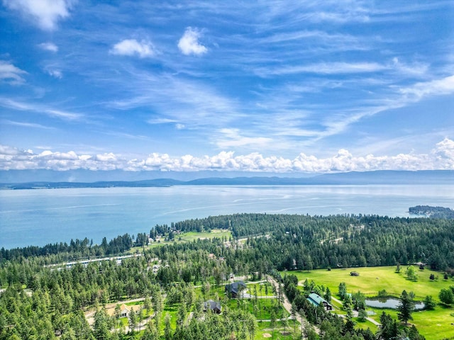 331 Deer Creek Rd, Somers, MT 59932 - aerial view of a nearby body of water and a heavily wooded area