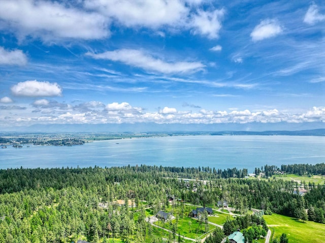 331 Deer Creek Rd, Somers, MT 59932 - drone / aerial view of a large body of water