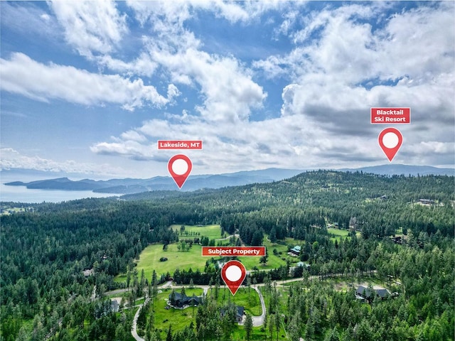 331 Deer Creek Rd, Somers, MT 59932 - bird's eye view of a forest and a mountainous background
