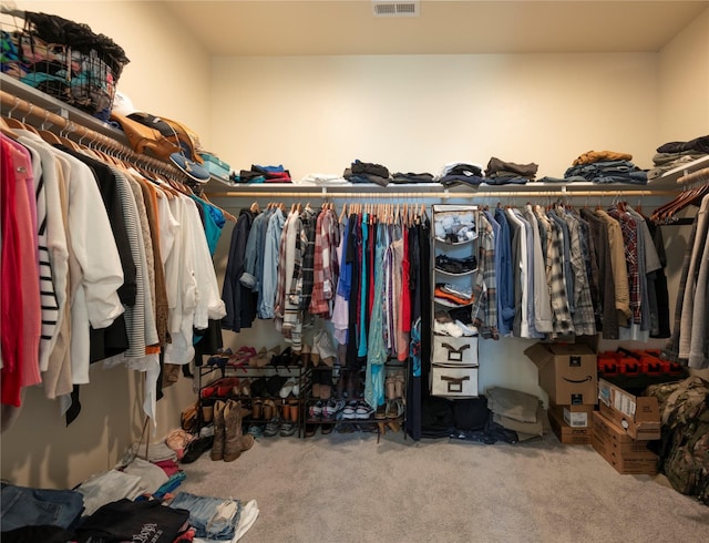 343 Meadow View Loop, East Helena, MT 59635 - spacious closet with carpet flooring