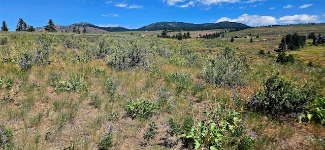 NHN Upper Woodchuck Rd, Florence, MT 59833