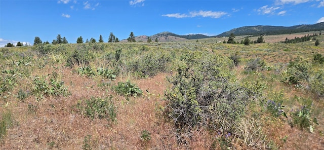NHN Upper Woodchuck Rd, Florence, MT 59833