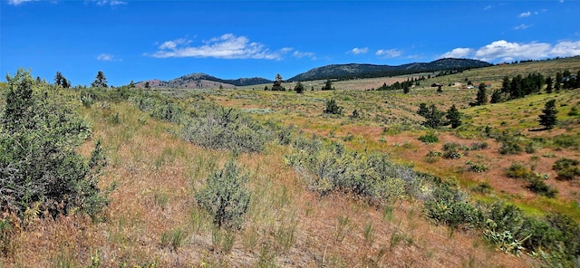 NHN Upper Woodchuck Rd, Florence, MT 59833