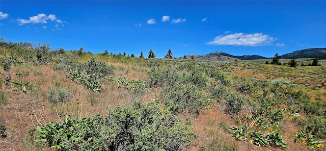 NHN Upper Woodchuck Rd, Florence, MT 59833