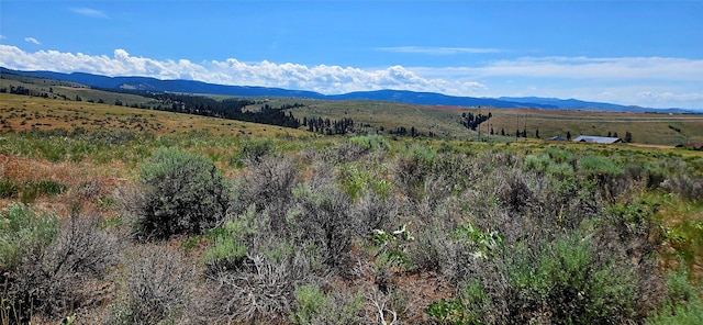 NHN Upper Woodchuck Rd, Florence, MT 59833
