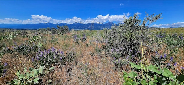 NHN Upper Woodchuck Rd, Florence, MT 59833